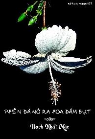 Phiến Đá Nở Ra Hoa Dâm Bụt